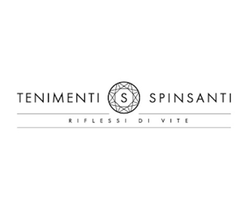 Spinsanti